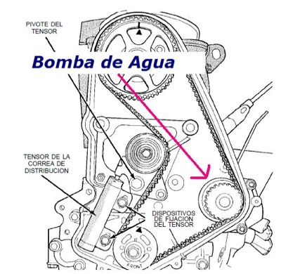 Correa de Distribución